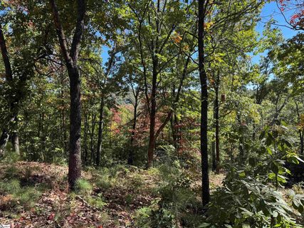 Speckled Grouse Way active lot in The Cliffs At Mountain Park, Marietta, SC