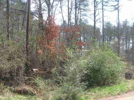 139 Burmaster Street sold land listing in Bon Aire Estate, Inman, SC