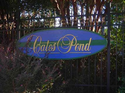 131 Lake Park Drive - Lot 15