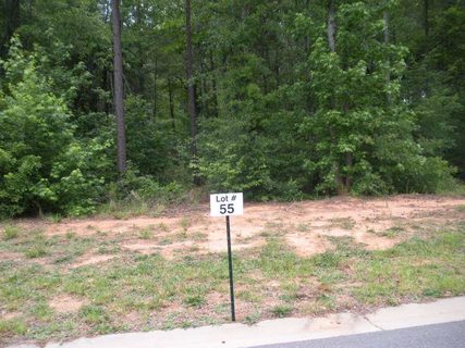 373 Roy Hall Way (Lot 55)