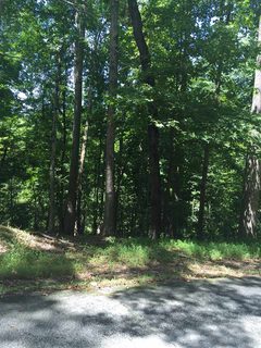 166 S Tyger Lane sold home in Deer Track Est, Roebuck, SC