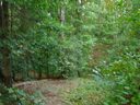 110 Quitman Pt sold home in Chesnee, SC