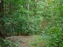 330 Country Oak Rd sold home in Chesnee, SC