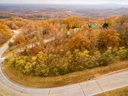 Raven Road, Lot 90 sold home in Landrum, SC