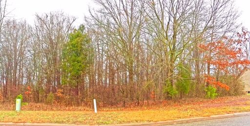 Lot 7 Eagle Ridge Dr