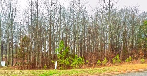 Lot 8 Eagle Ridge Dr