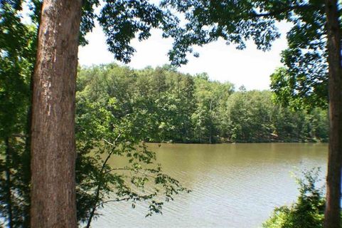 134 Bridgeview Road sold land listing in Bridge View, Chesnee, SC