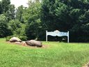 0 Commodore Dr sold home in Duncan, SC