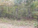 209 Limestone Trail sold home in Landrum, SC