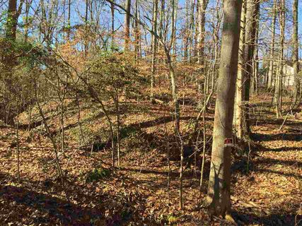 146 Pinewood Drive