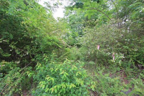 Lot 175 Hawthorn Ave