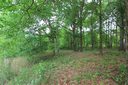 Lot 176 Hawthorn Ave sold home in Woodruff, SC