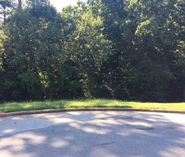 120 Scarlett Drive