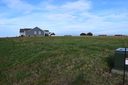 N Stallion sold home in Cowpens, SC