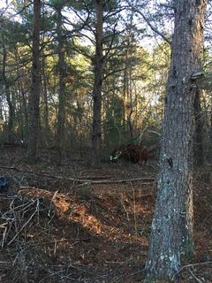 119 Lockman Street sold land listing in Bon Aire Estate, Inman, SC