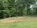 155 Cane Creek Way (Lot 15) sold home in Campobello, SC