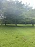 100 Plateau St sold home in Moore, SC