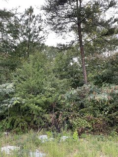 382 Copper Creek Circle