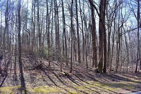 35 Granite Knob Way