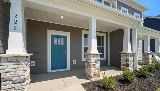 227 Dalmatian Drive