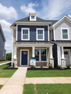 203 Dalmatian Drive