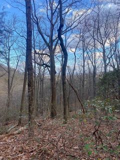 0 Moonshine Falls Trail sold home in Cliffs Glassy, Landrum, SC