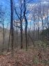 0 Moonshine Falls Trail sold home in Landrum, SC