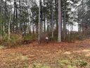 555 Canewood Ln. sold home in Campobello, SC