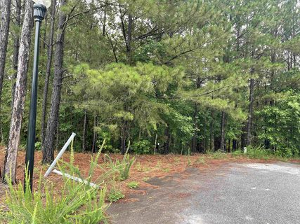 333 Carnahan Drive sold land listing in Lakes At Cannan, Spartanburg, SC