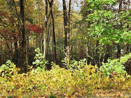 0 Glassy Ridge Road sold home in Cliffs Glassy, Landrum, SC
