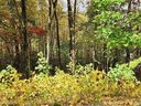 0 Glassy Ridge Road sold home in Landrum, SC