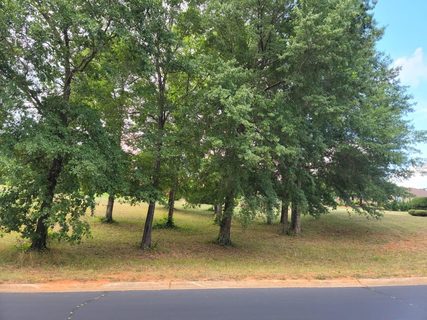 118 Harbour Point Dr sold home in North Harbour, Chesnee, SC