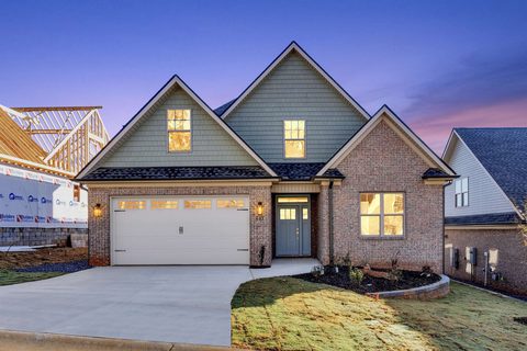 481 Savanna Plains Drive