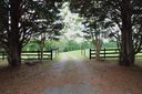 1920 Landrum Mill Road sold home in Campobello, SC