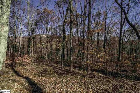 16 Windswept Lane active home in Cliffs Valley, Travelers Rest, SC