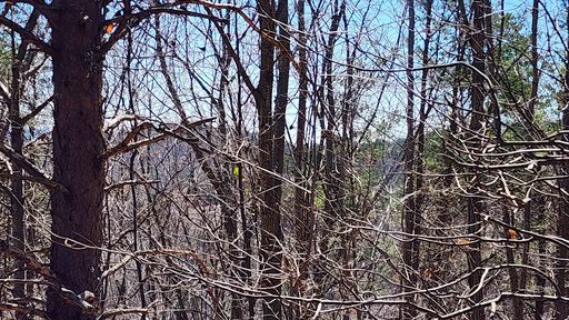 320 Foggy Cut Lane sold home in Cliffs Glassy, Landrum, SC