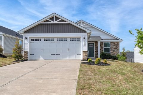 917 Blue Willow Court active home in Olivia Springs, Spartanburg, SC
