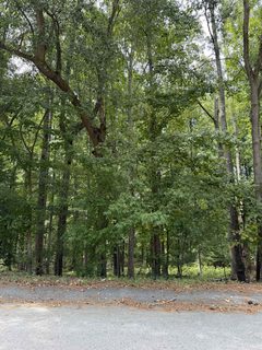 A home in Connies Acres