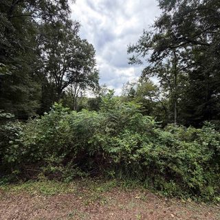 330 Tall Oaks Trail active land listing in Rolling River, Inman, SC