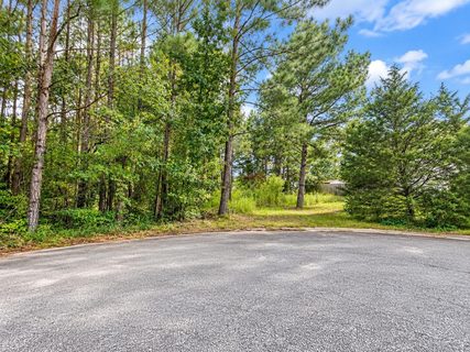 330 Carnahan Drive active land listing in Lakes At Cannan, Spartanburg, SC