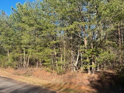 00 Vandale Place Lot 14 B1 sold land listing in Vandale Place, Anderson, SC