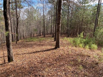 129 Scenic Crest Way