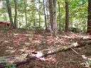 173 Broken Bow Run sold home in Pickens, SC