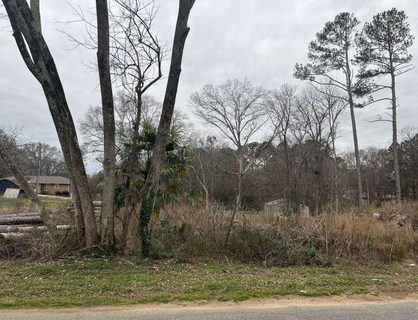 Lot40 Kingsboro Road