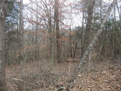 00 Winterbrook Circle