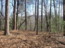 111 Oolenoy Court sold home in Pickens, SC