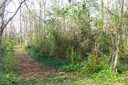 110 Rippleview Drive sold home in Clemson, SC