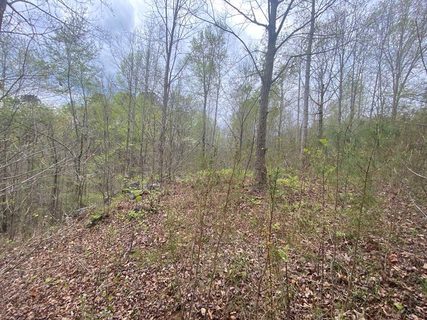 580 Edgewater Trail sold home in Currahee Club, Toccoa, GA