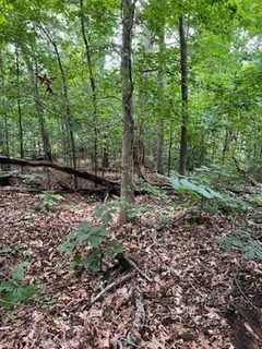 0 Arrow Lane sold home in Tugaloo Bay, Lavonia, SC