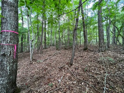 Lot 30 Sourwood Bench Court sold home in Turtlehead, Salem, SC
